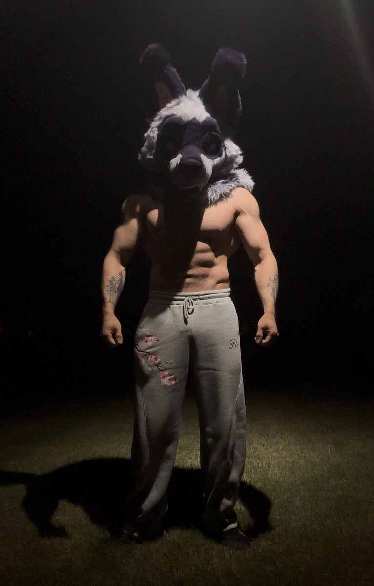 Aries 🔜 FWA tweet media