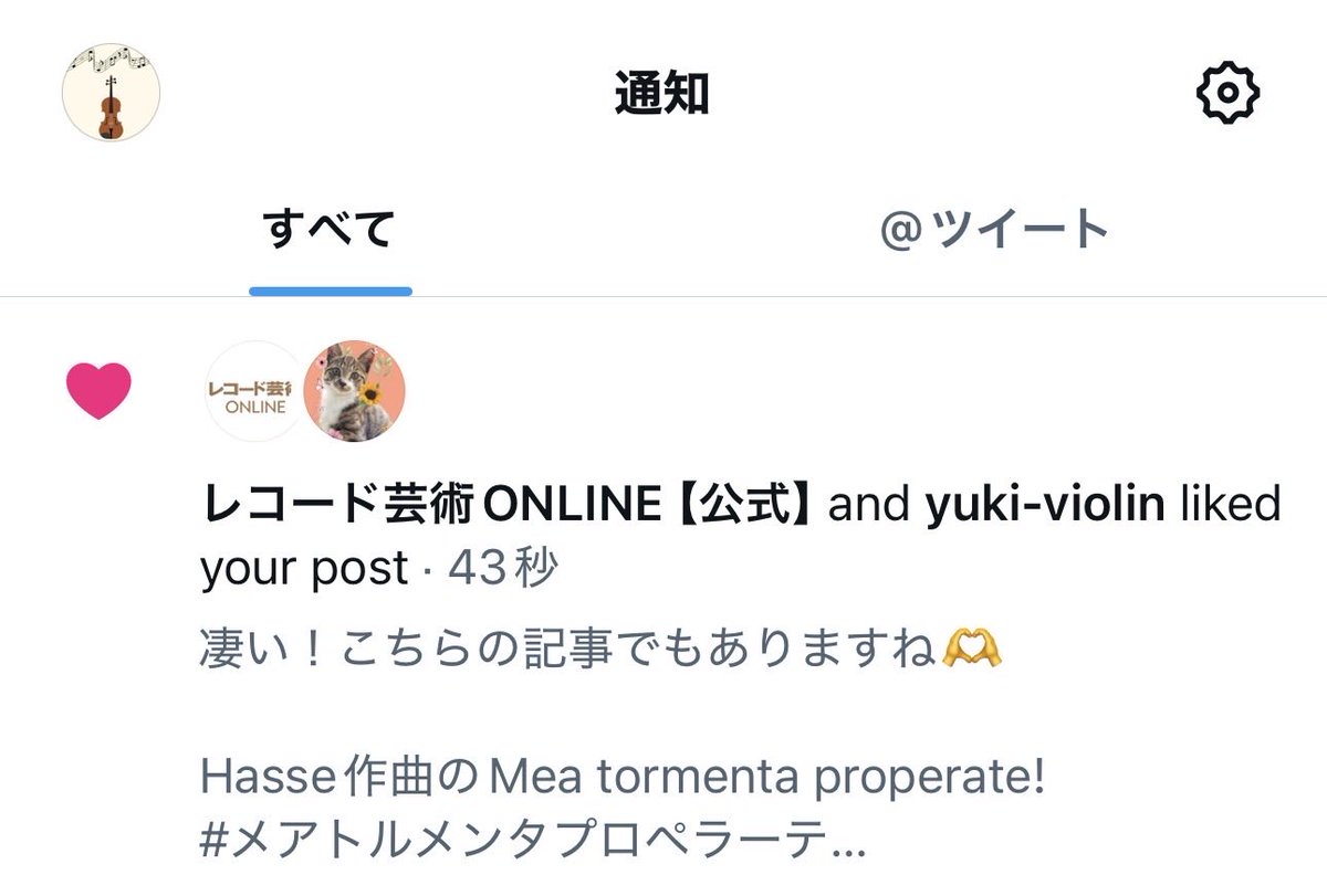 コンセールオランジュ🍊 tweet media