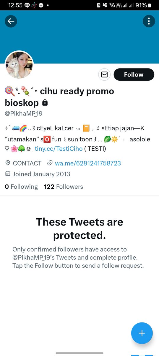 pi tweet media