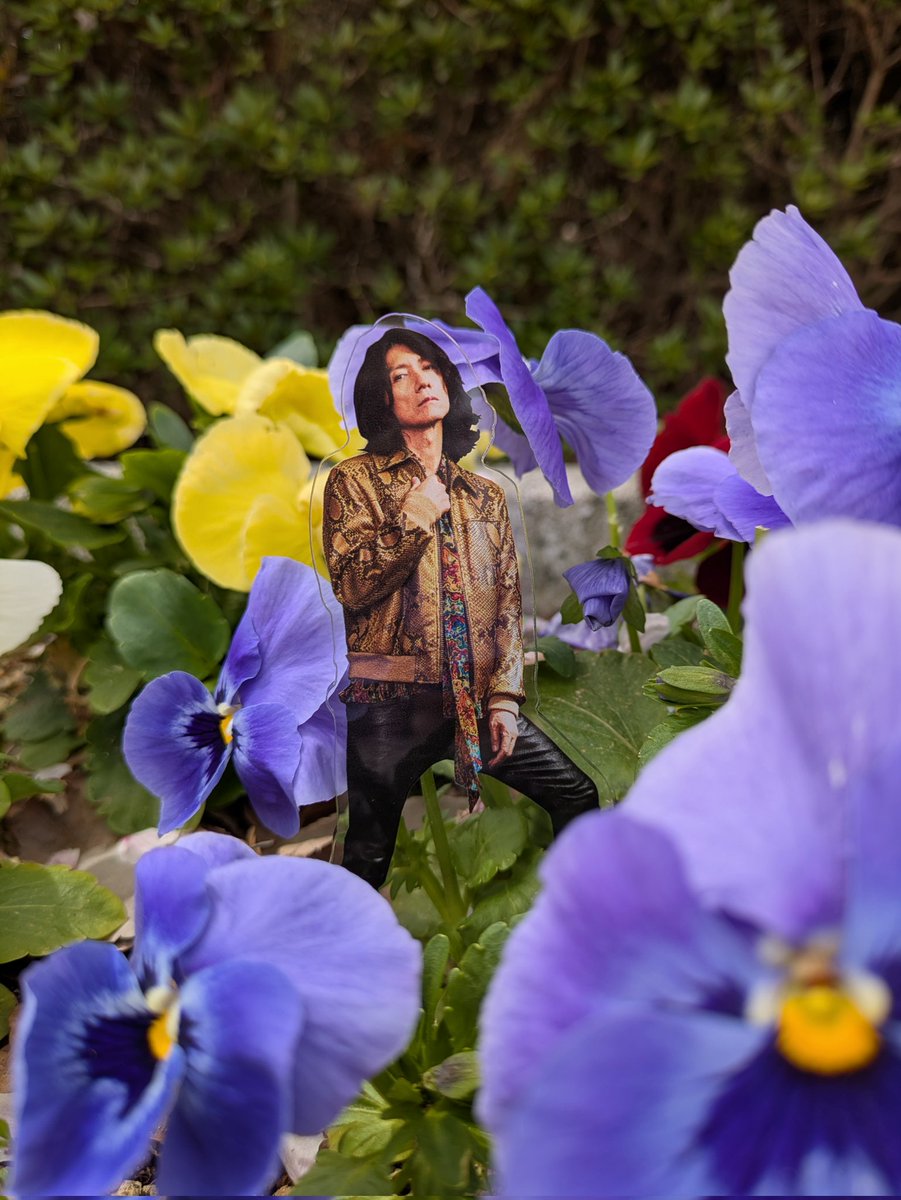 うろこ tweet media