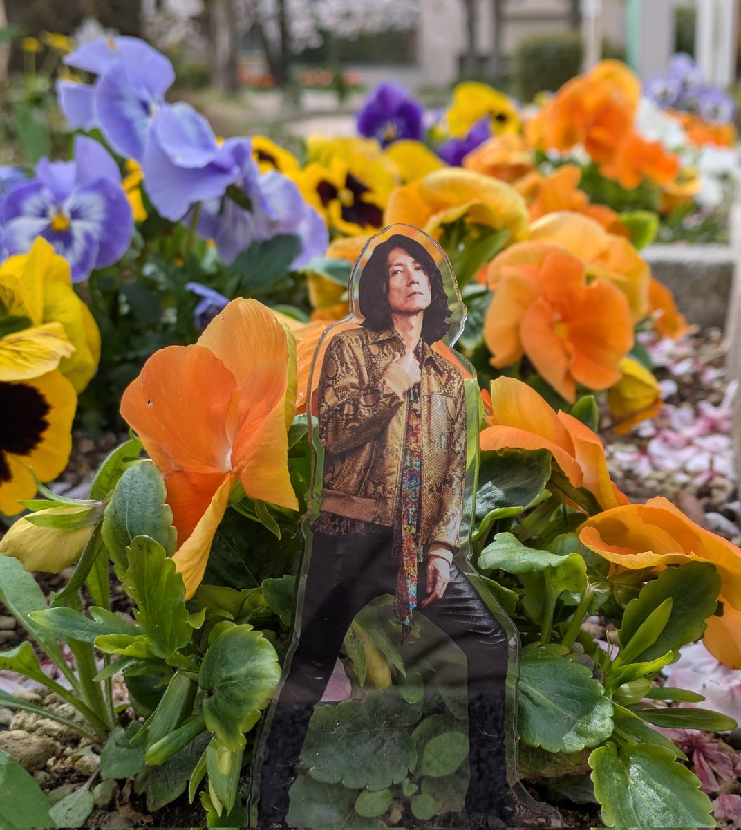 うろこ tweet media