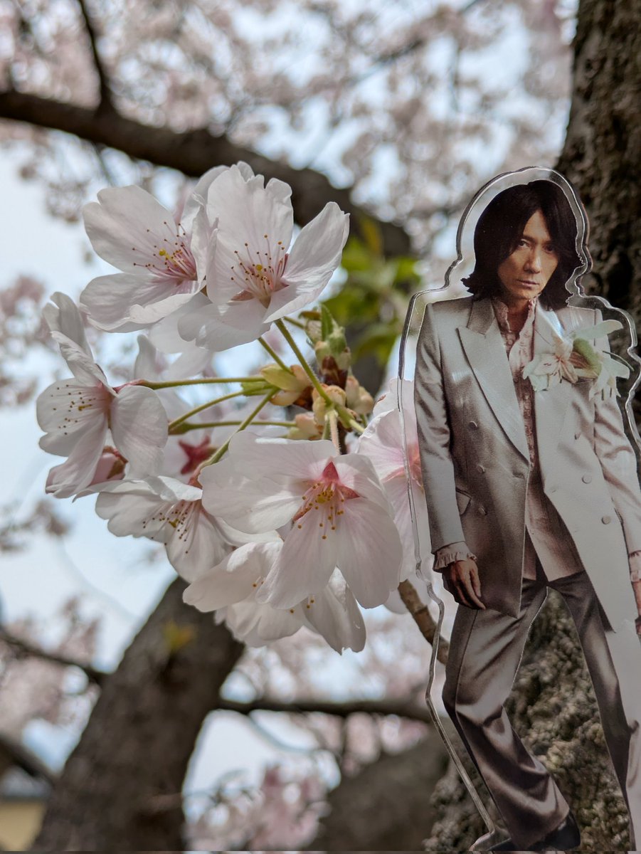 うろこ tweet media