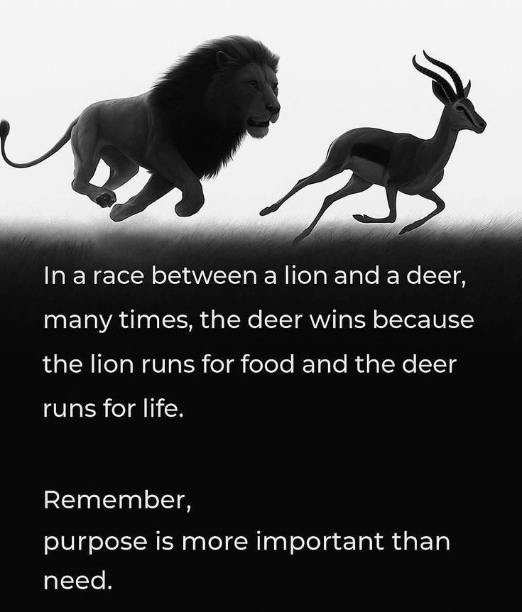 Deep Psychology tweet media