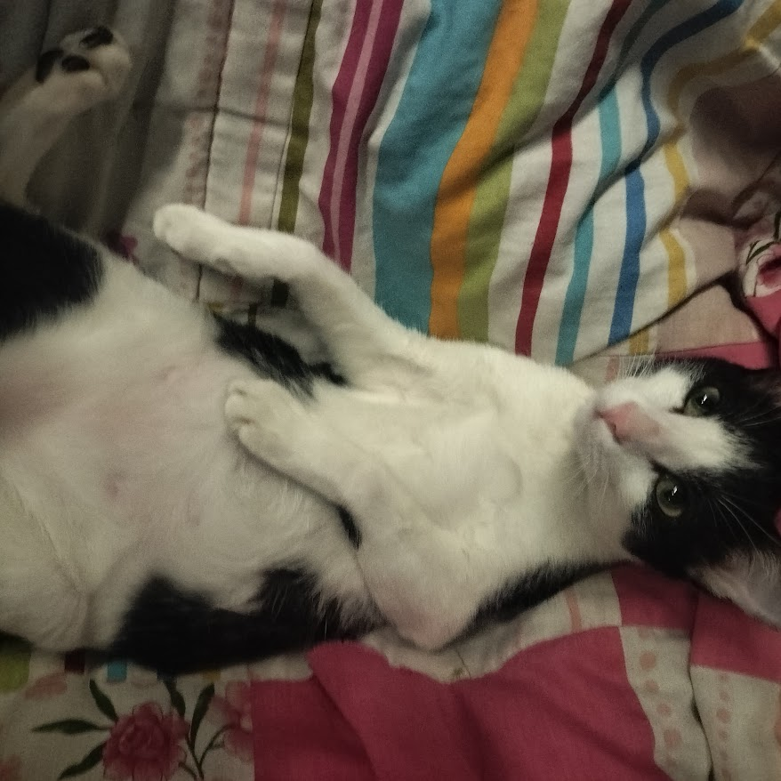 yuri devil 🪽 tweet media