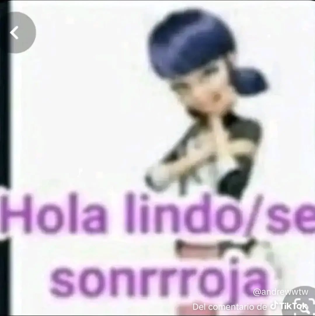 floperito2000 tweet media