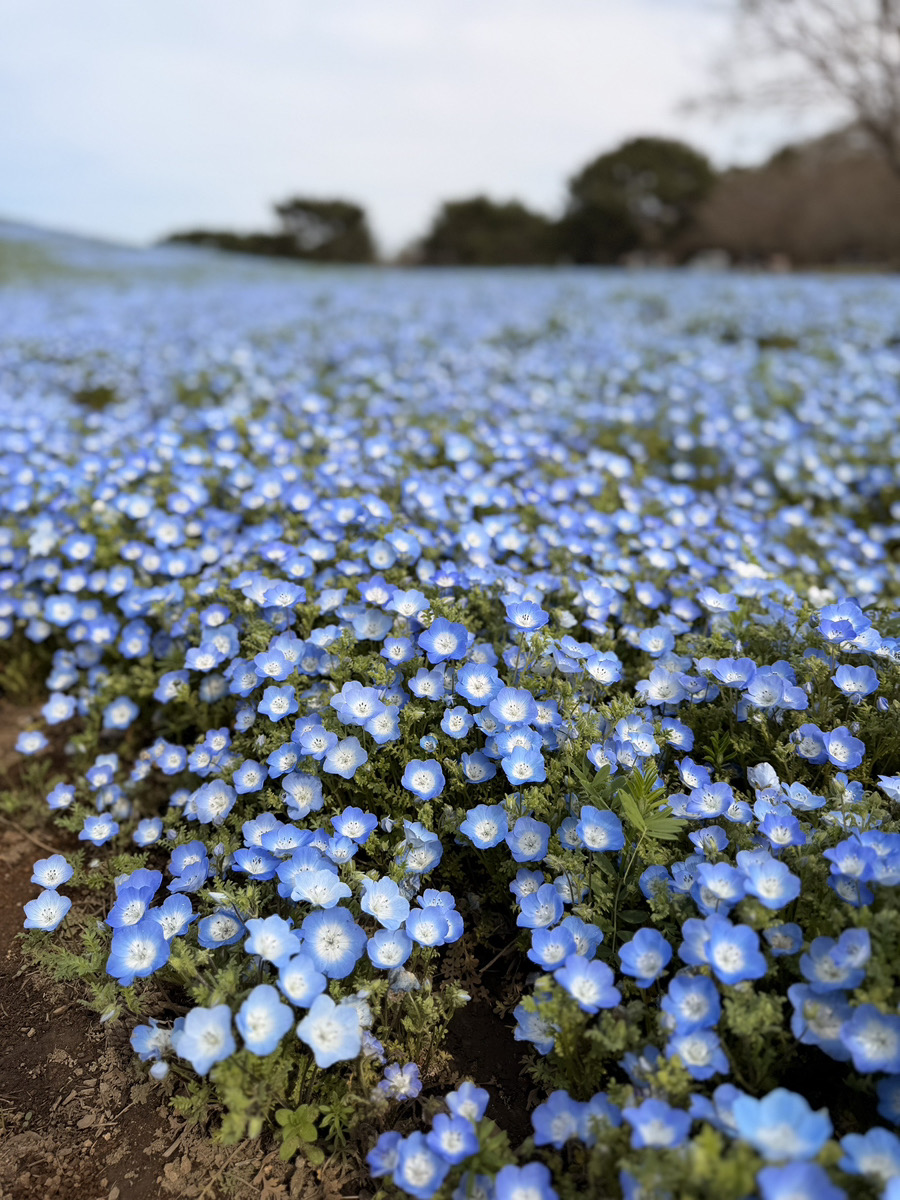 T_QUEST tweet picture