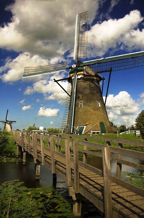 🌷Drs. Jol@ndE🌷🇳🇱🧡🇮🇱 tweet media