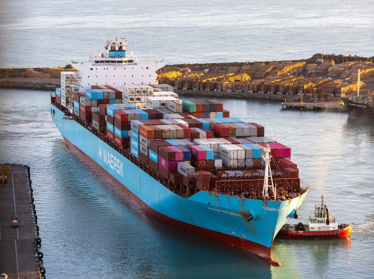 Maersk's tweet photo. As fresh produce exporters are entering a high‑demand period, we’re strengthening support for New Zealand’s peak reefer season with enhanced connectivity out of Napier through our Southern Star service🚢

#OceanNetwork #NewZealand #Maersk https://t.co/UQcNaHO55g