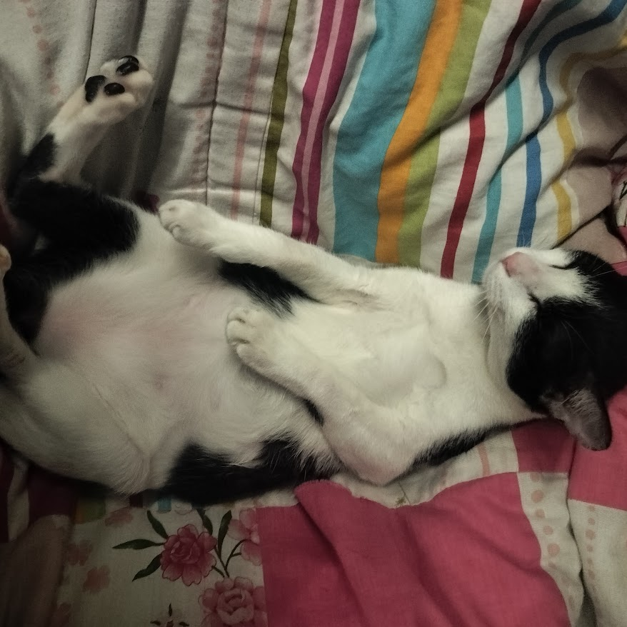 yuri devil 🪽 tweet media