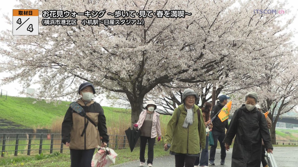 【公式】イッツコムチャンネル tweet media