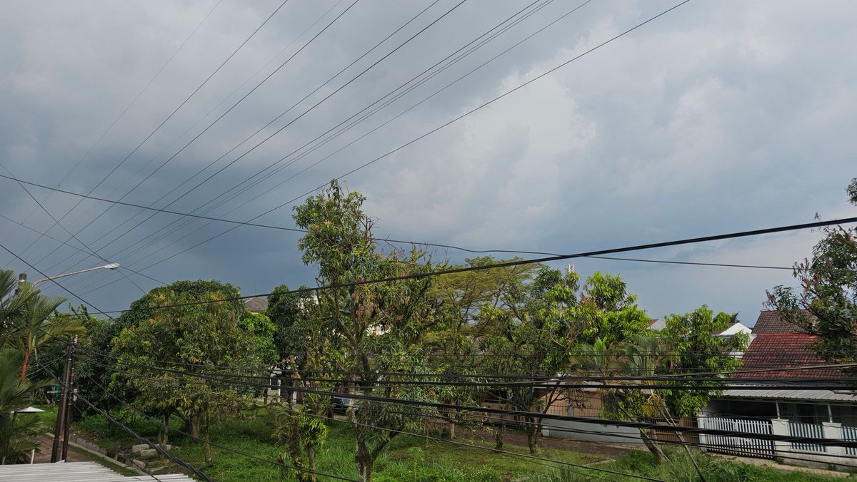 tanipon🌴 tweet media