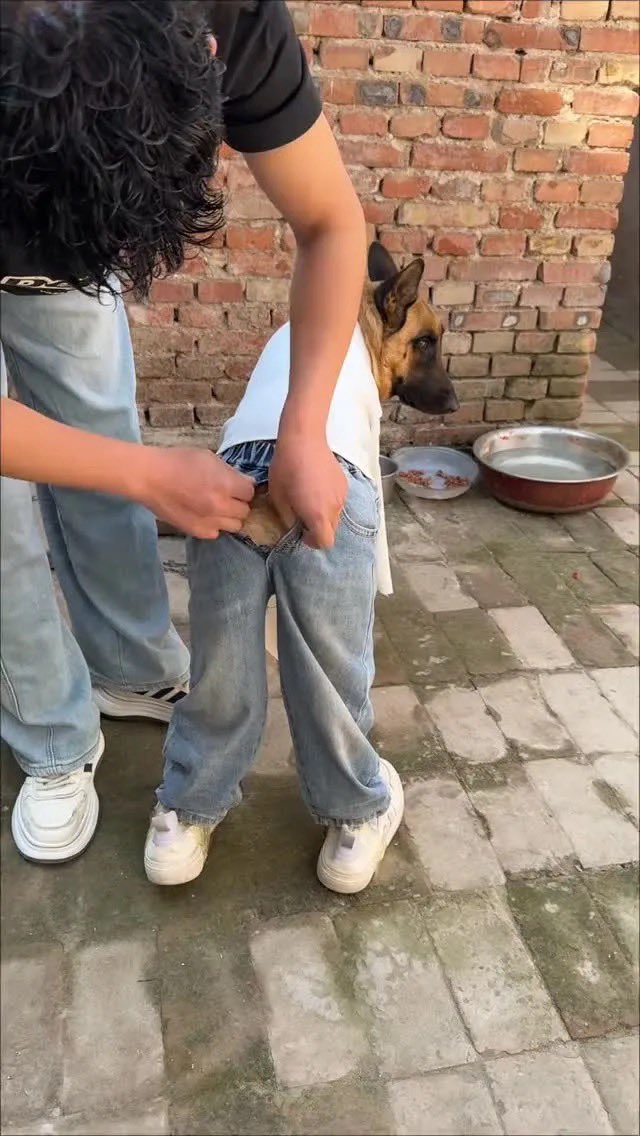 사탕수수꽃🌼 tweet media