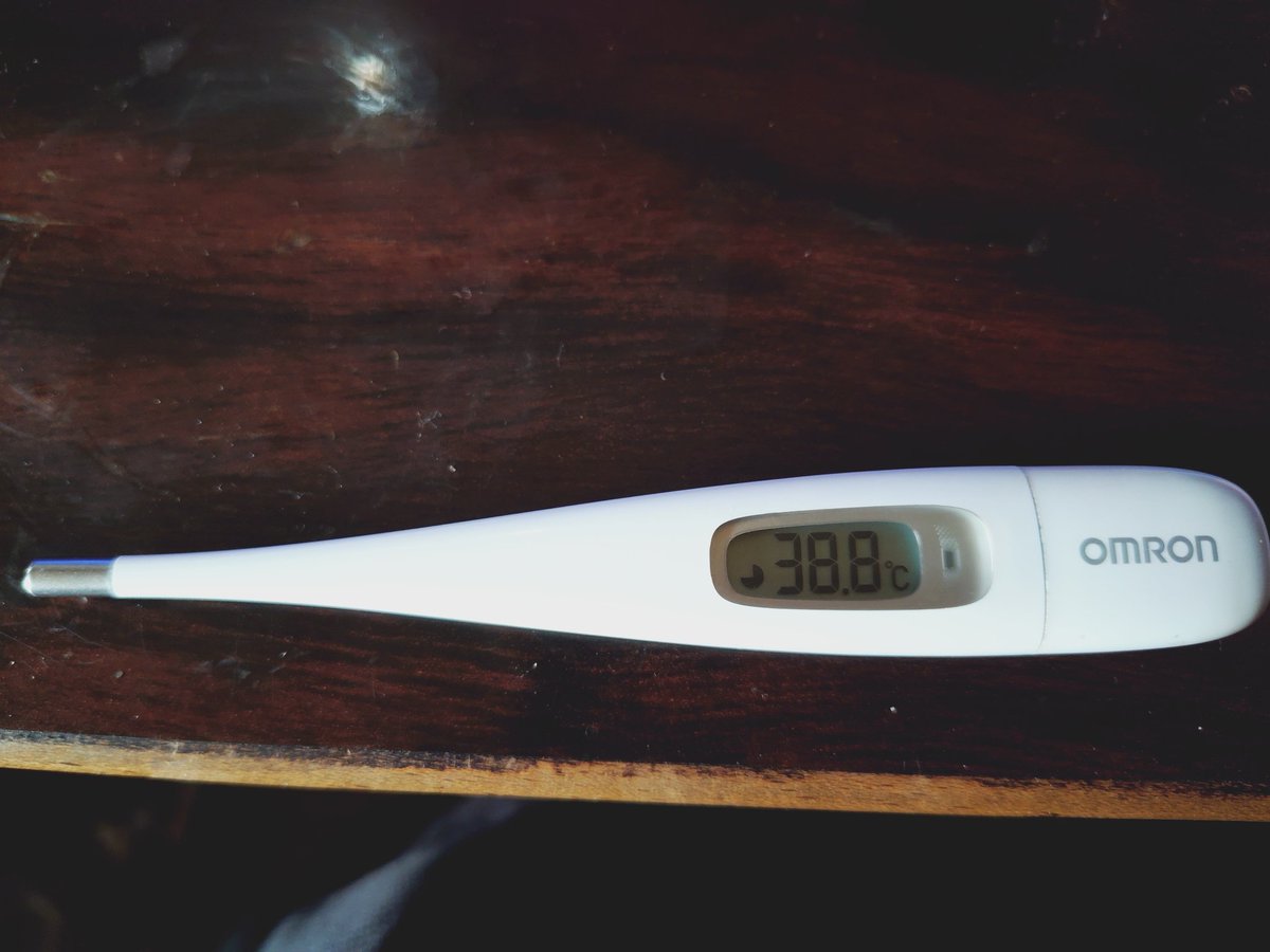 バーヤン tweet media