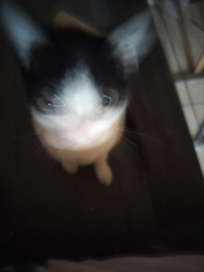 yuri devil 🪽 tweet media