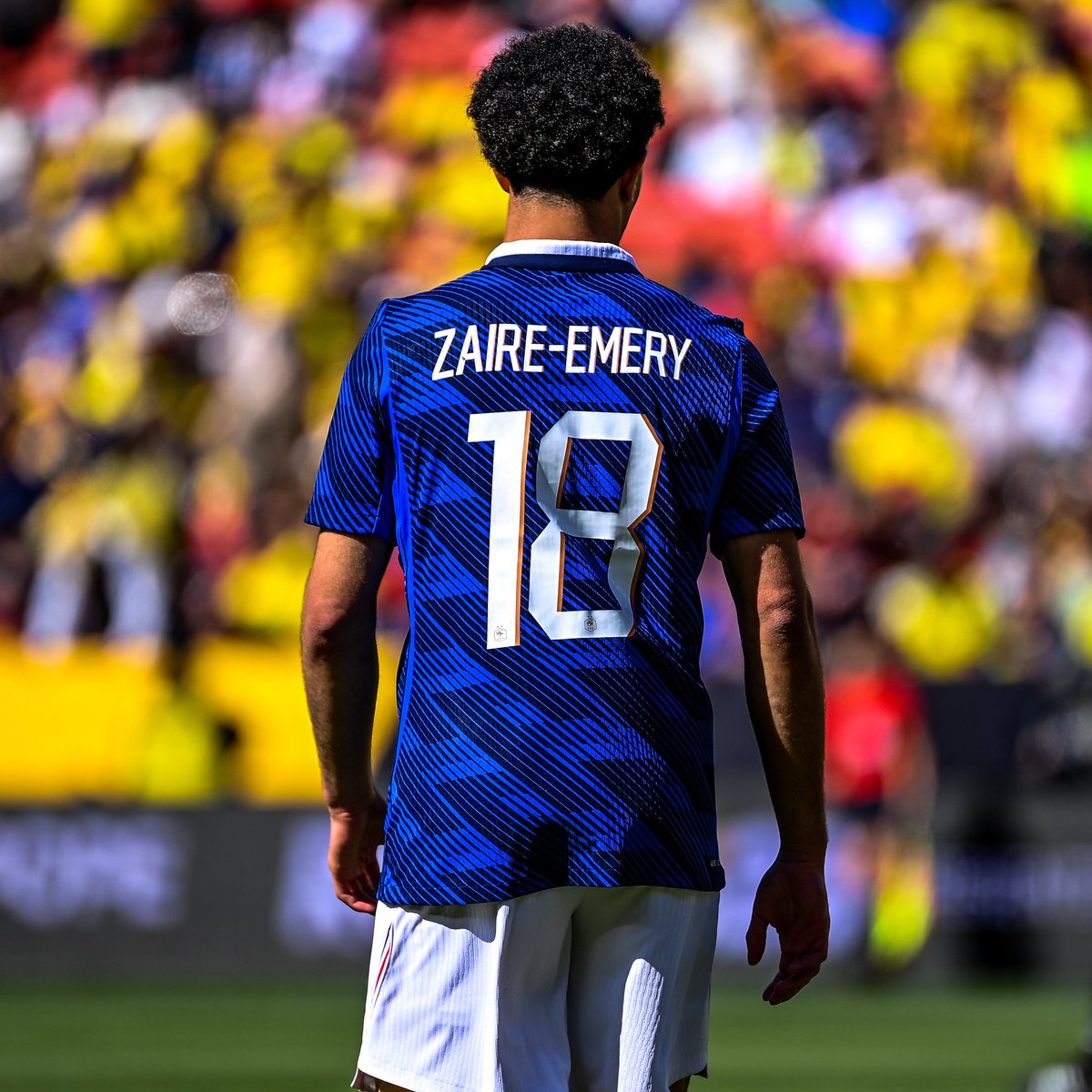 Coupe du Monde de la FIFA 🏆 tweet media