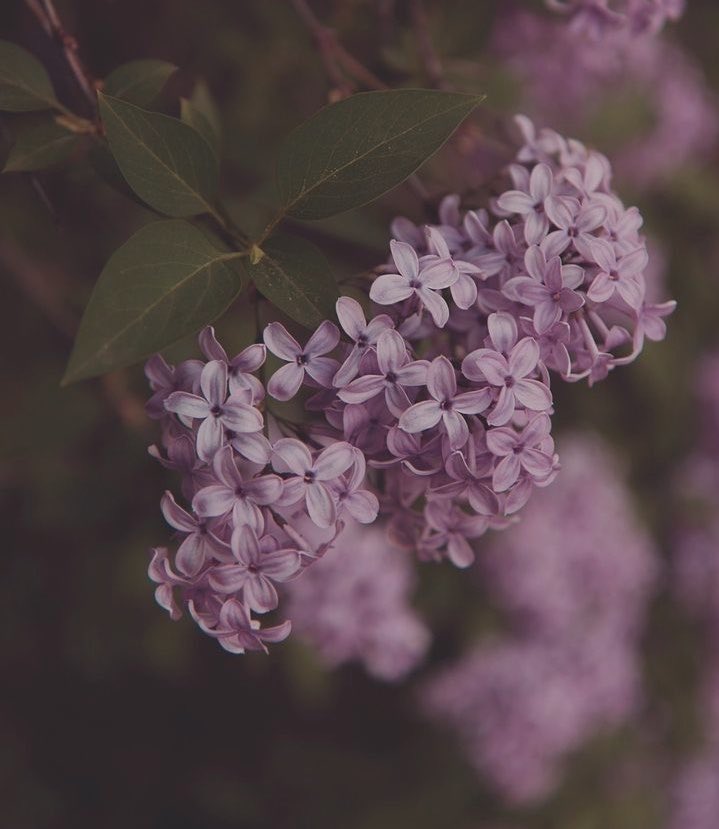 ましろ tweet media