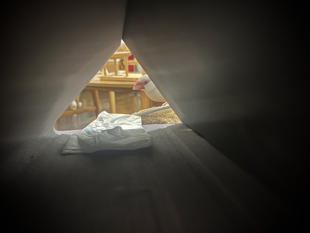 𝕣𝕪𝕒𝕞𝕒𓅪𓅪𓅫 tweet media