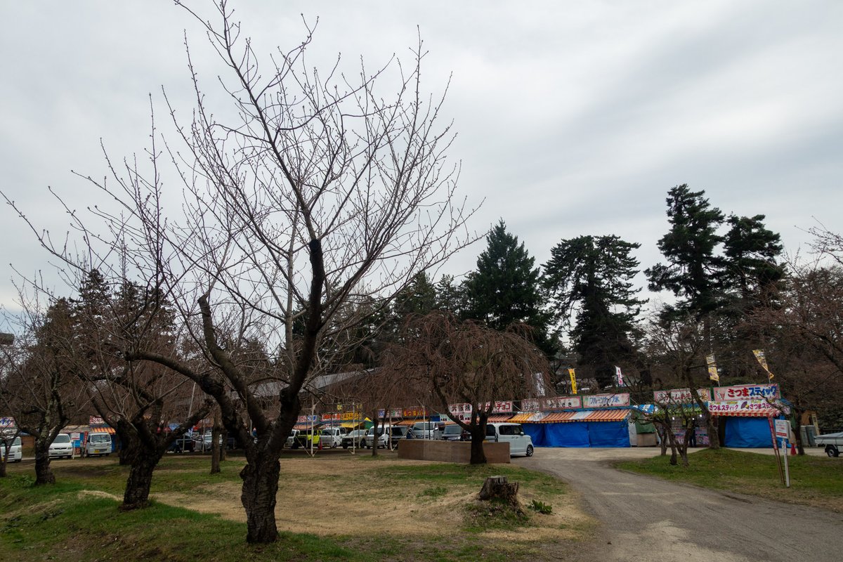 弘前公園 tweet media