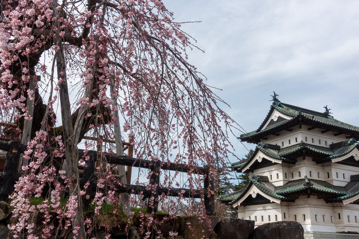 弘前公園 tweet media