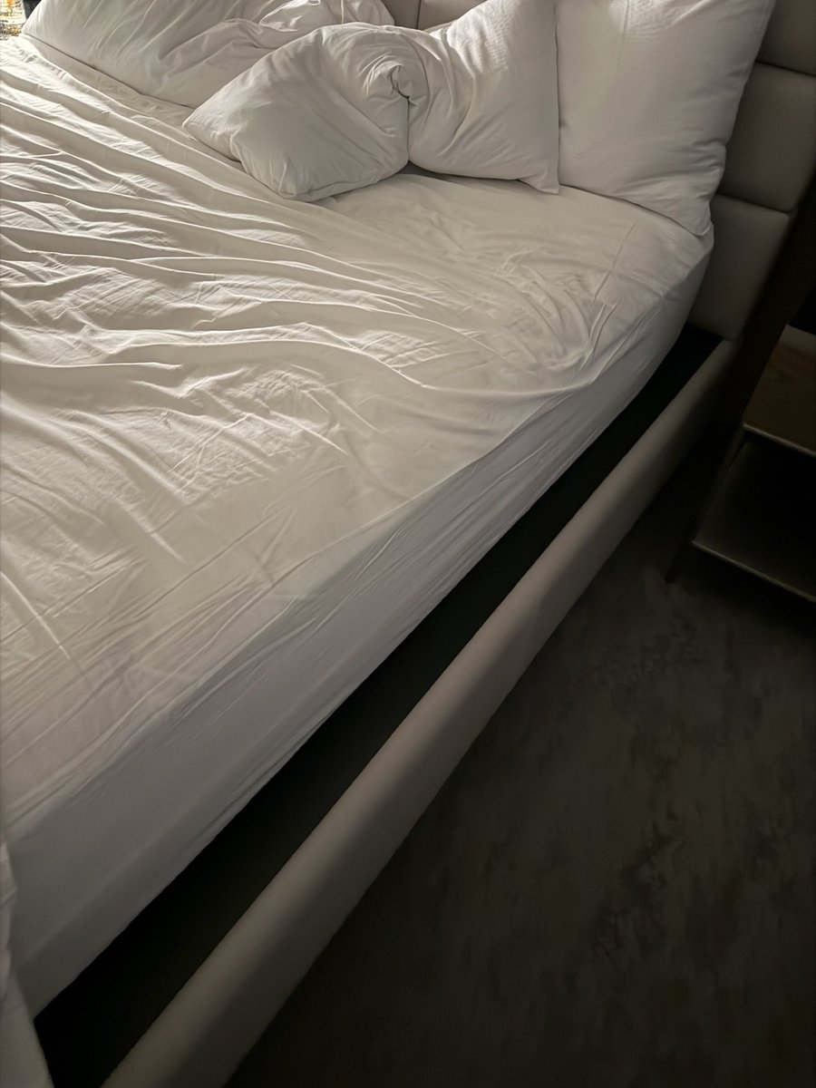 Sofia Sweet tweet media