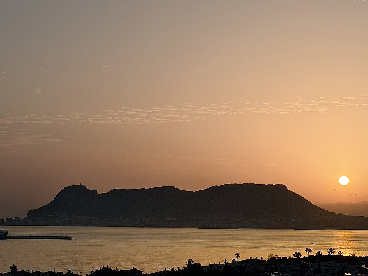 Carpe Diem...🍀 tweet media