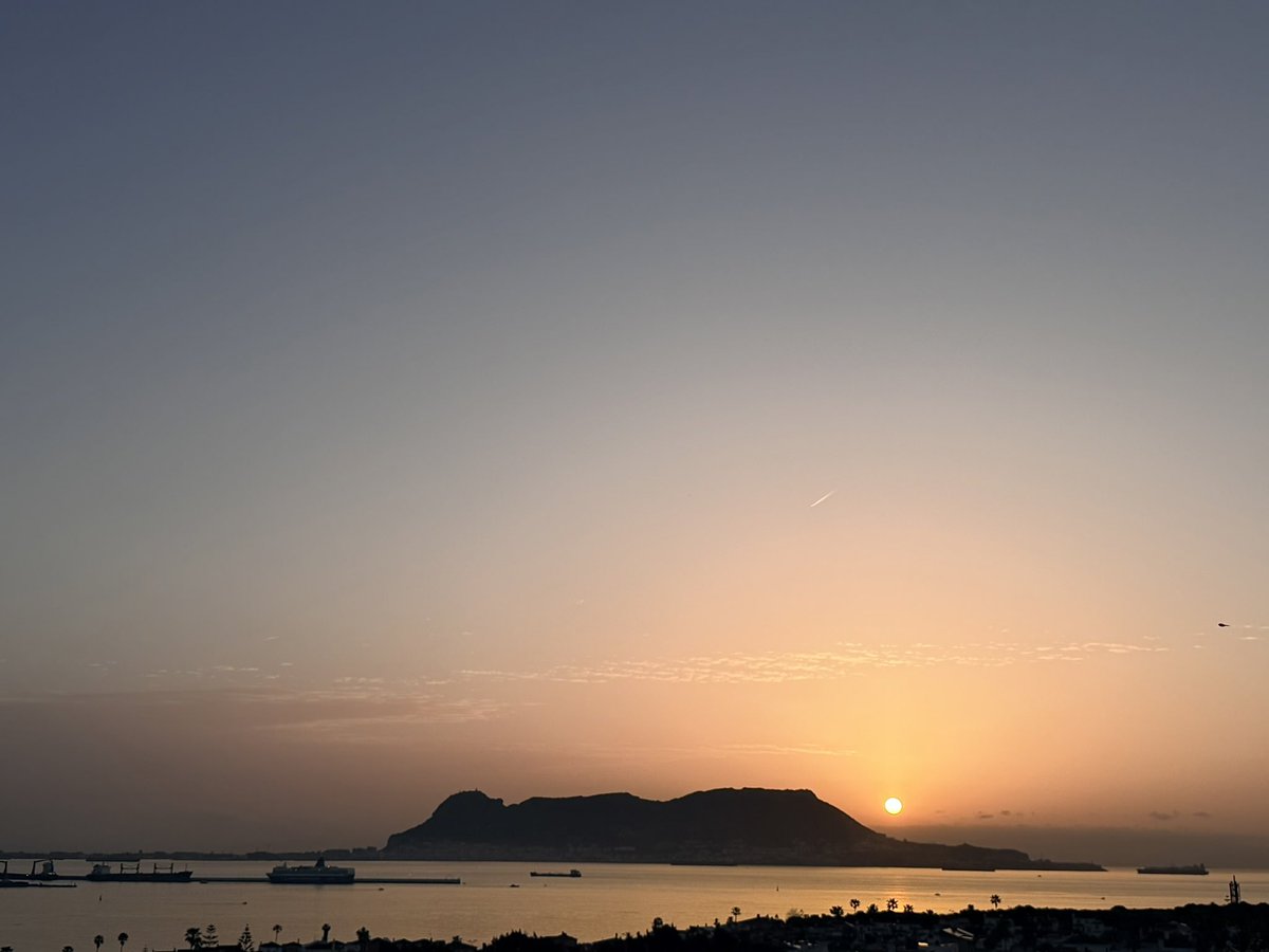 Carpe Diem...🍀 tweet media