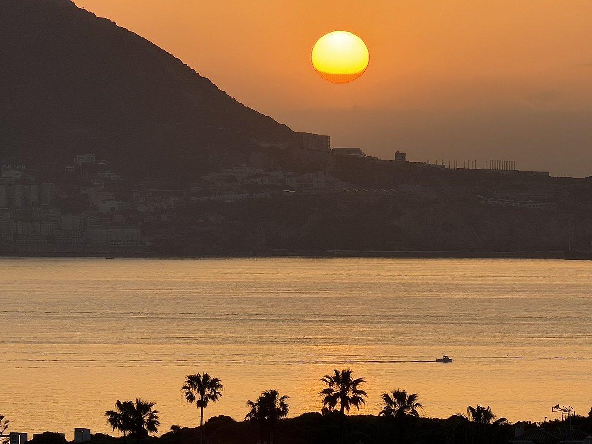 Carpe Diem...🍀 tweet media