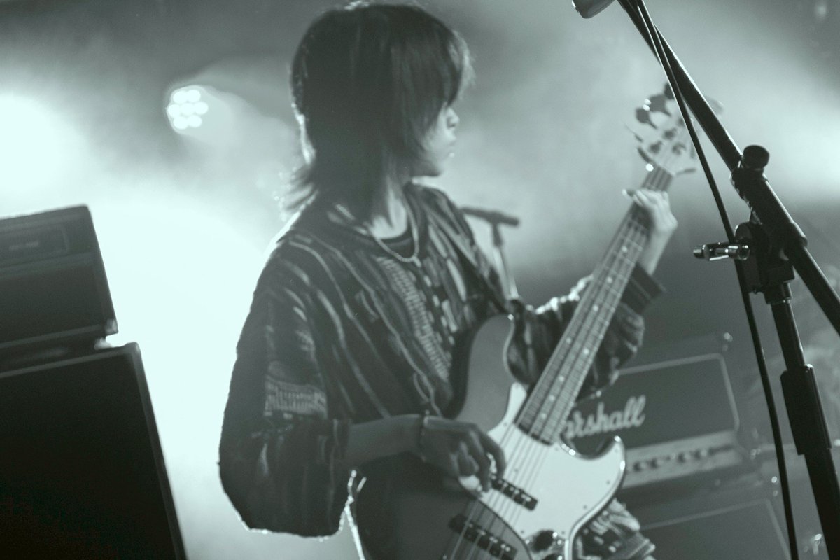 Turtle Frog tweet media