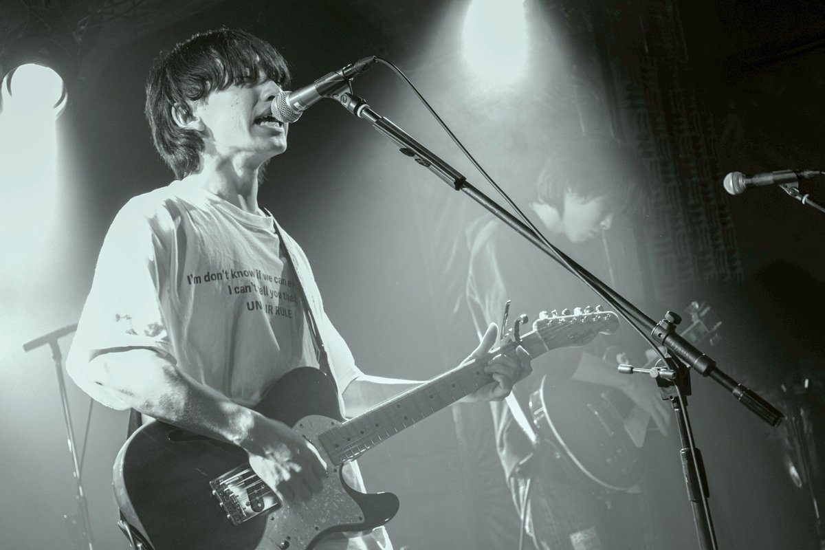 Turtle Frog tweet media