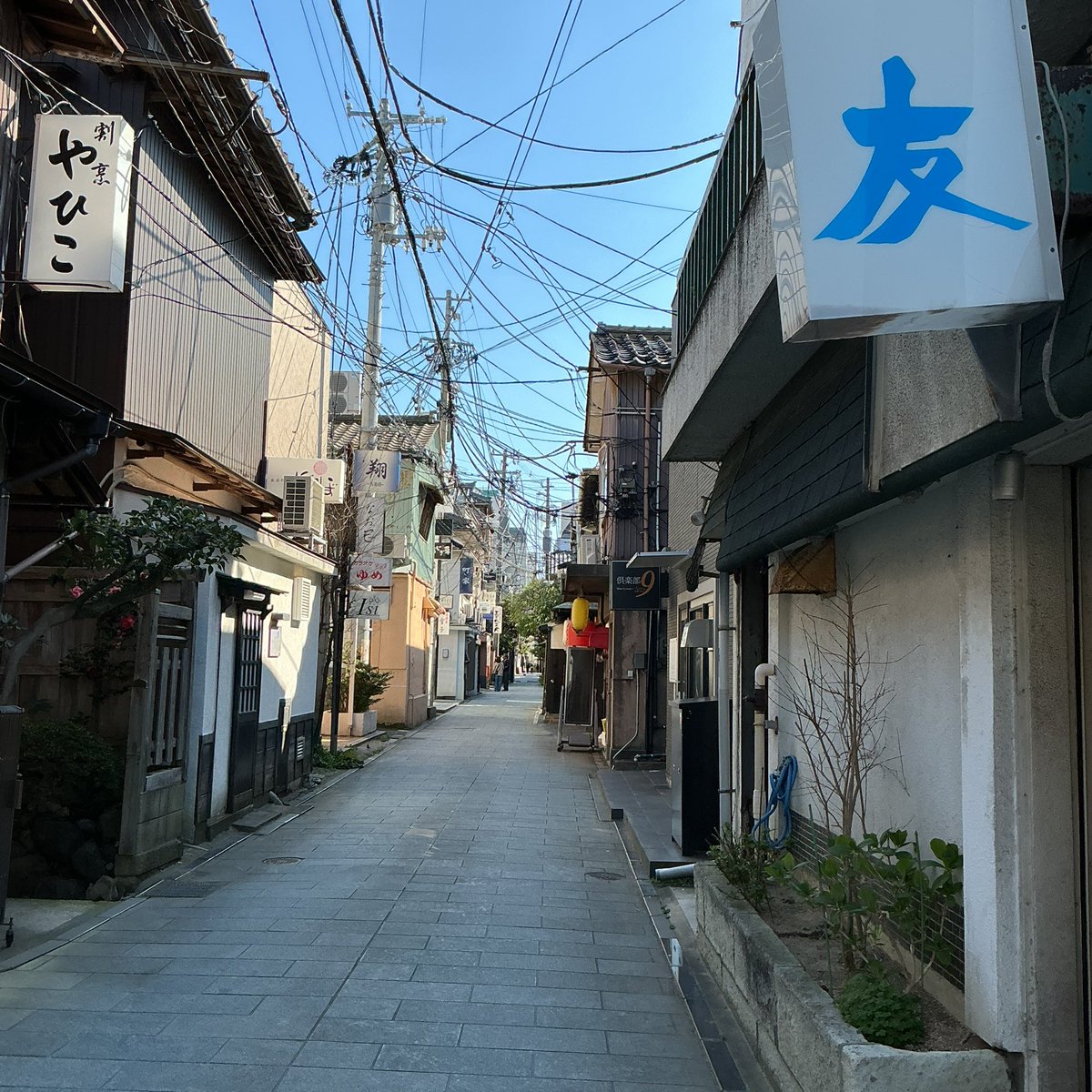 沖縄酒場AWAMORI+店主 2026年秋新潟店オープン予定 tweet media