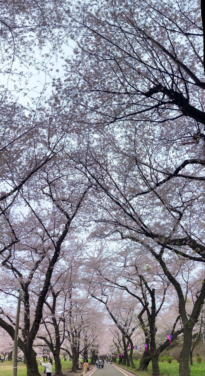 ゆう☆スプリント tweet media