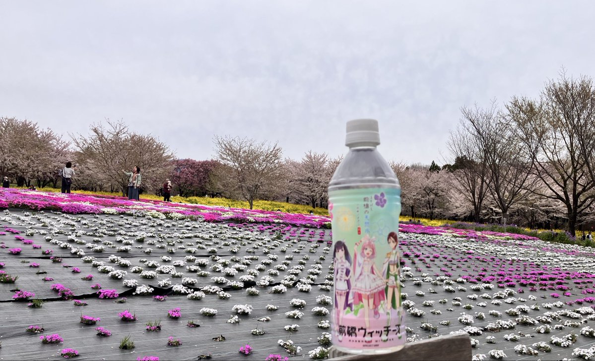 ゆう☆スプリント tweet media