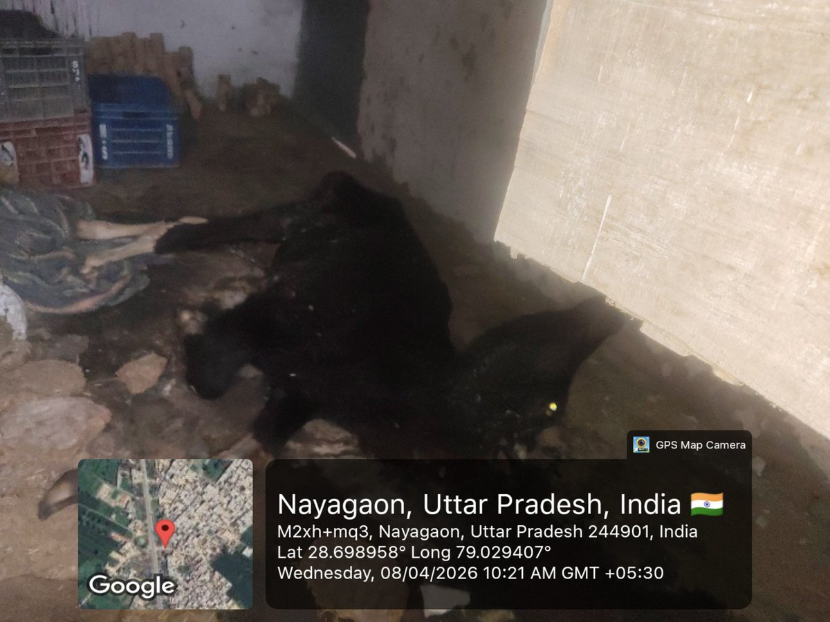 madan mohan tweet media