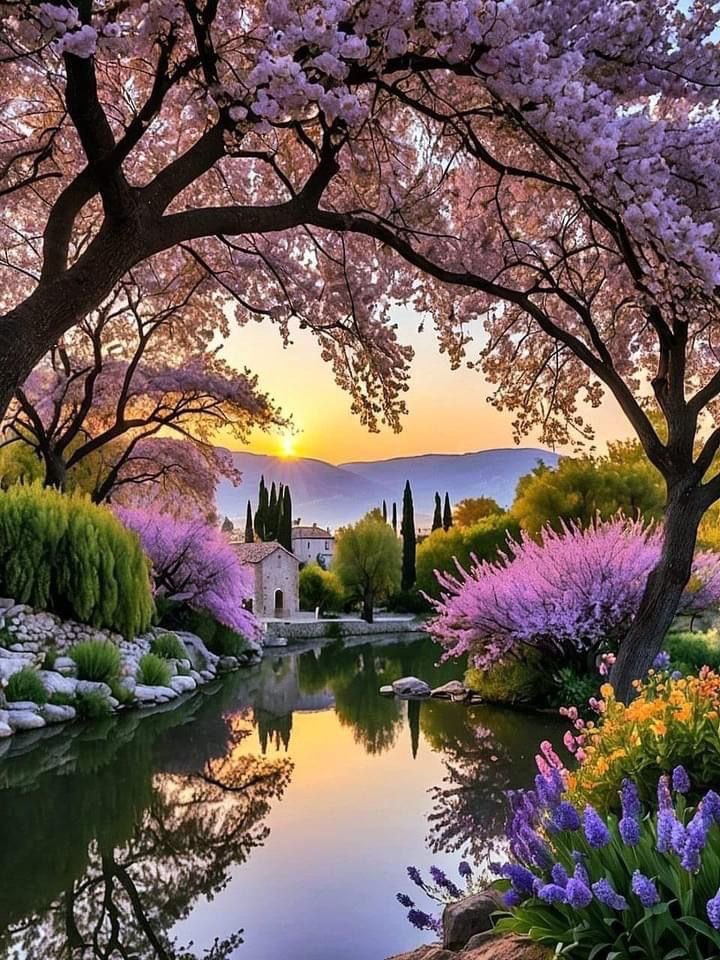 Loeka02's tweet image. ✧ ☀️ Golden Rise for All ☀️ ✧ ❀ 

"The silver moon fades, the sun appears, ❀
Golden light washes away the fears. ✧

May this morning bring hope so true,
A beautiful day to every one of you! ♡"
✨🌿🕊️

#GoodMorning #MorningLight #NewDay