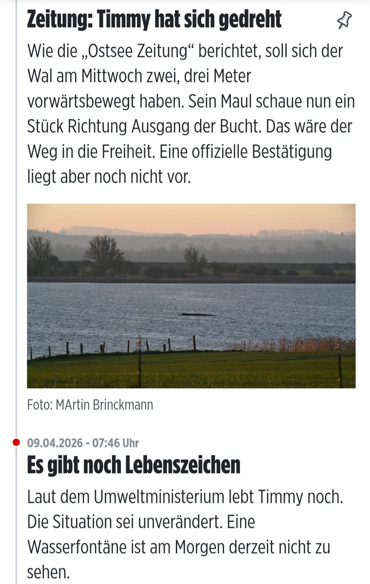 GwiasdaSig15128's tweet photo. Der Wal #Timmy lebt und hat sich in Richtung Ausgang der Bucht bewegt. Das wäre der Weg in die Freiheit. 🐳 Die Rettungsmaßnahmen sind unverzüglich wieder aufzunehmen! https://t.co/ICmzTiek0m