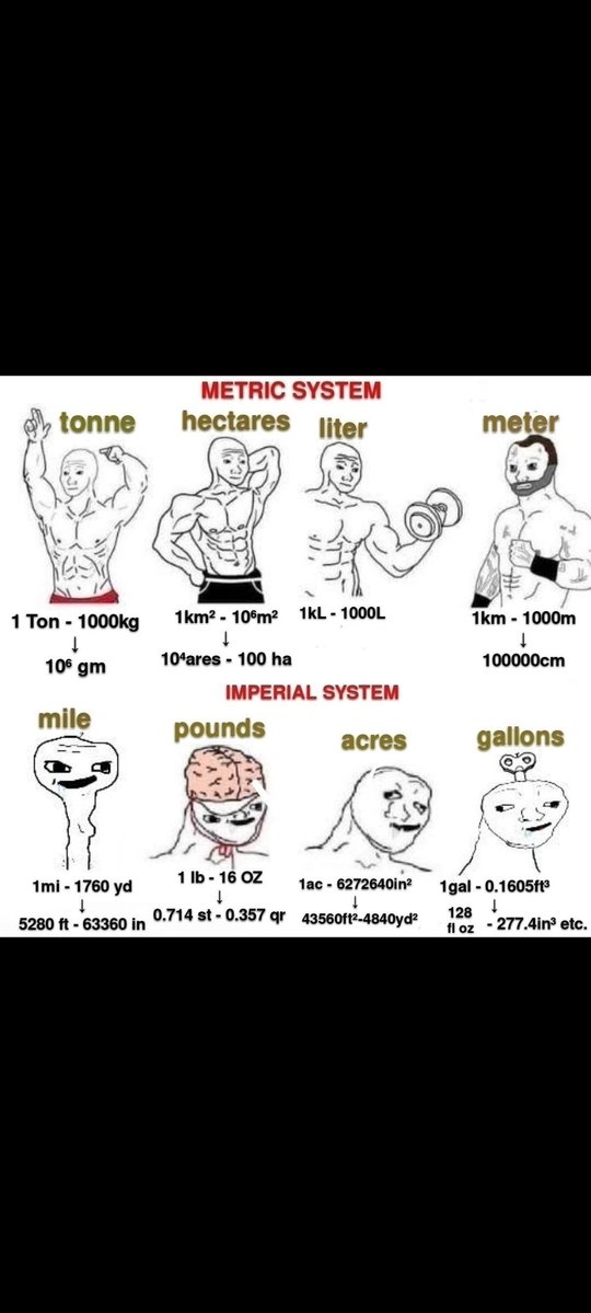 ₿roman - ⚡💎🙌🥩 tweet media