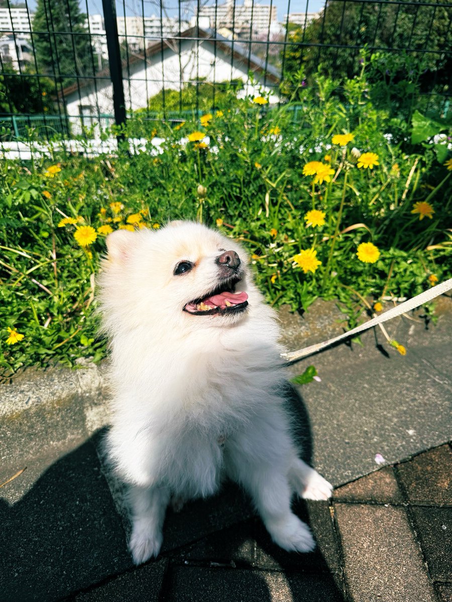 nr_cgk2's tweet photo. 今際の際より生還。地獄でダンスしてきた。年明けから入院してまして。SCUにぶち込まれたり、貴重な経験をしたなぁ。待っててくれてありがとう。 https://t.co/1OXi7SlGAf