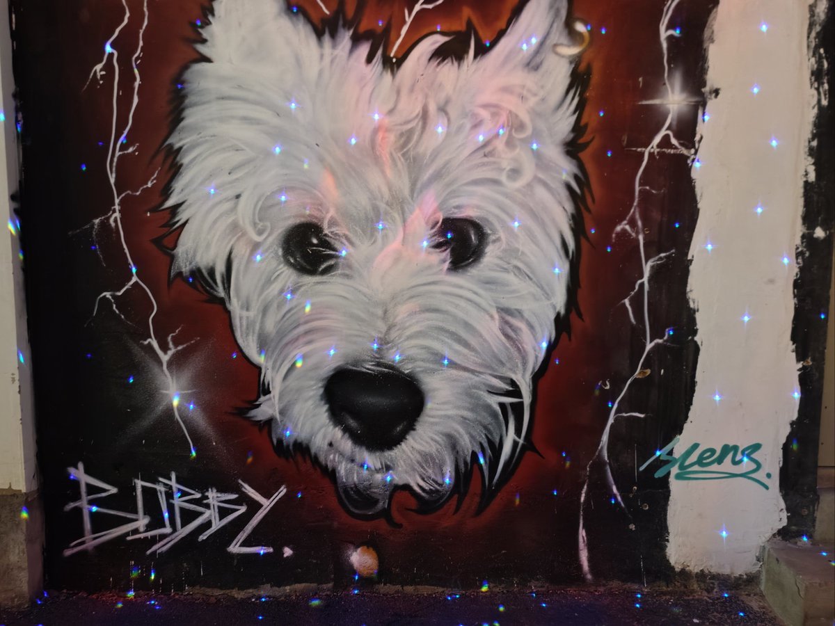 Mehmet Güneş tweet media