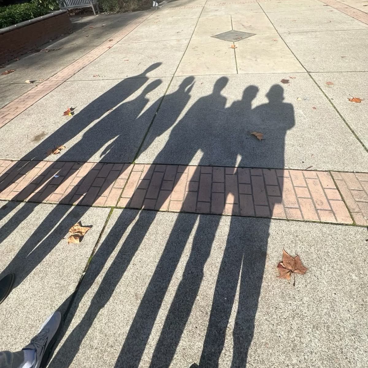 ari ✿ bylumax stan tweet media