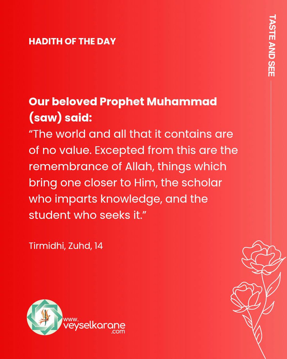 EmineOd45084532 tweet media