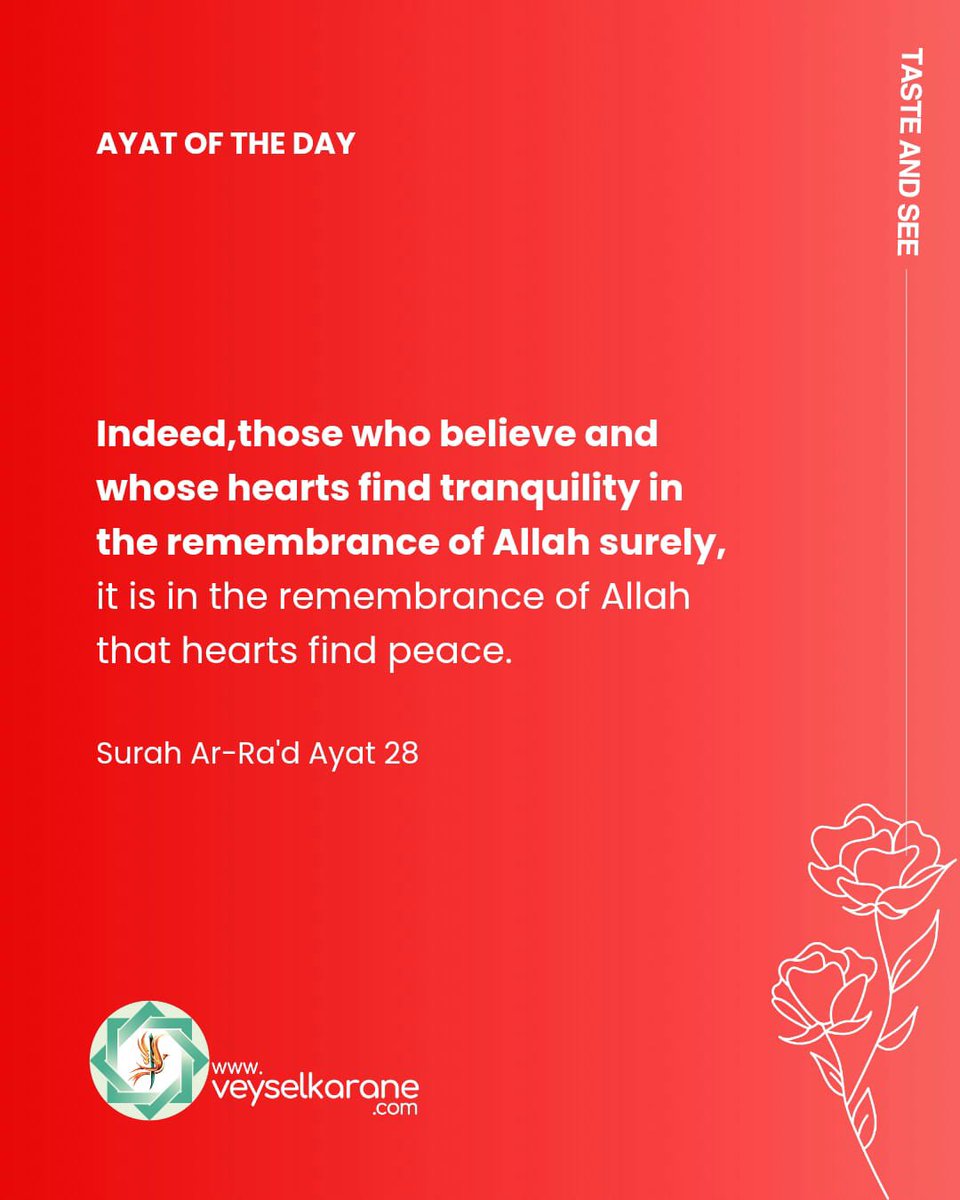 EmineOd45084532 tweet media