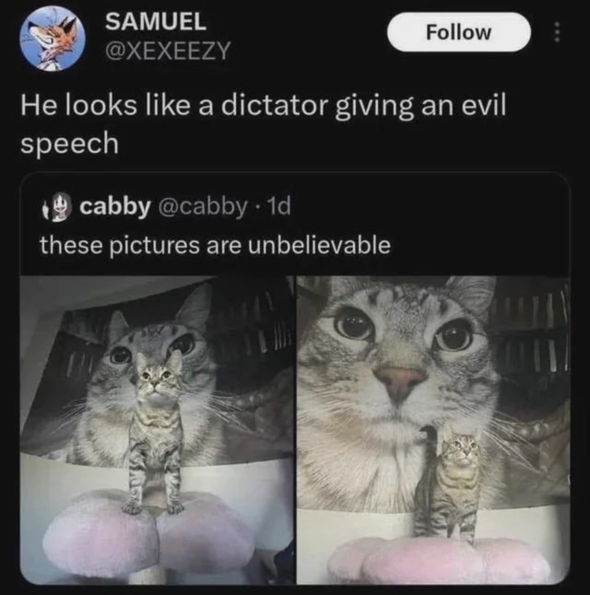 Respectful Memes tweet media