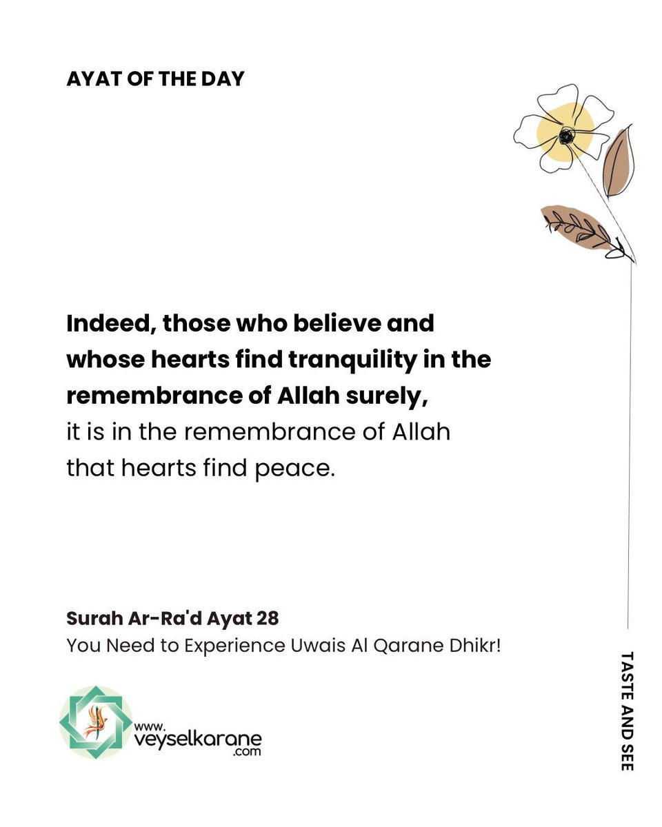 EmineOd45084532 tweet media