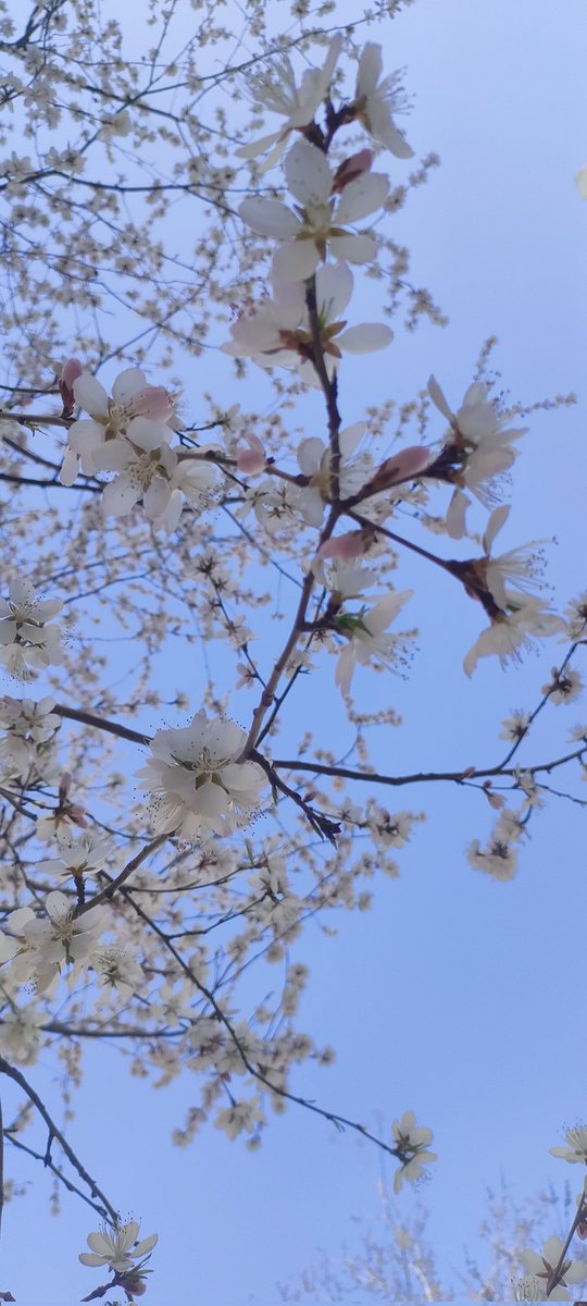 gbdst(互fo) tweet media