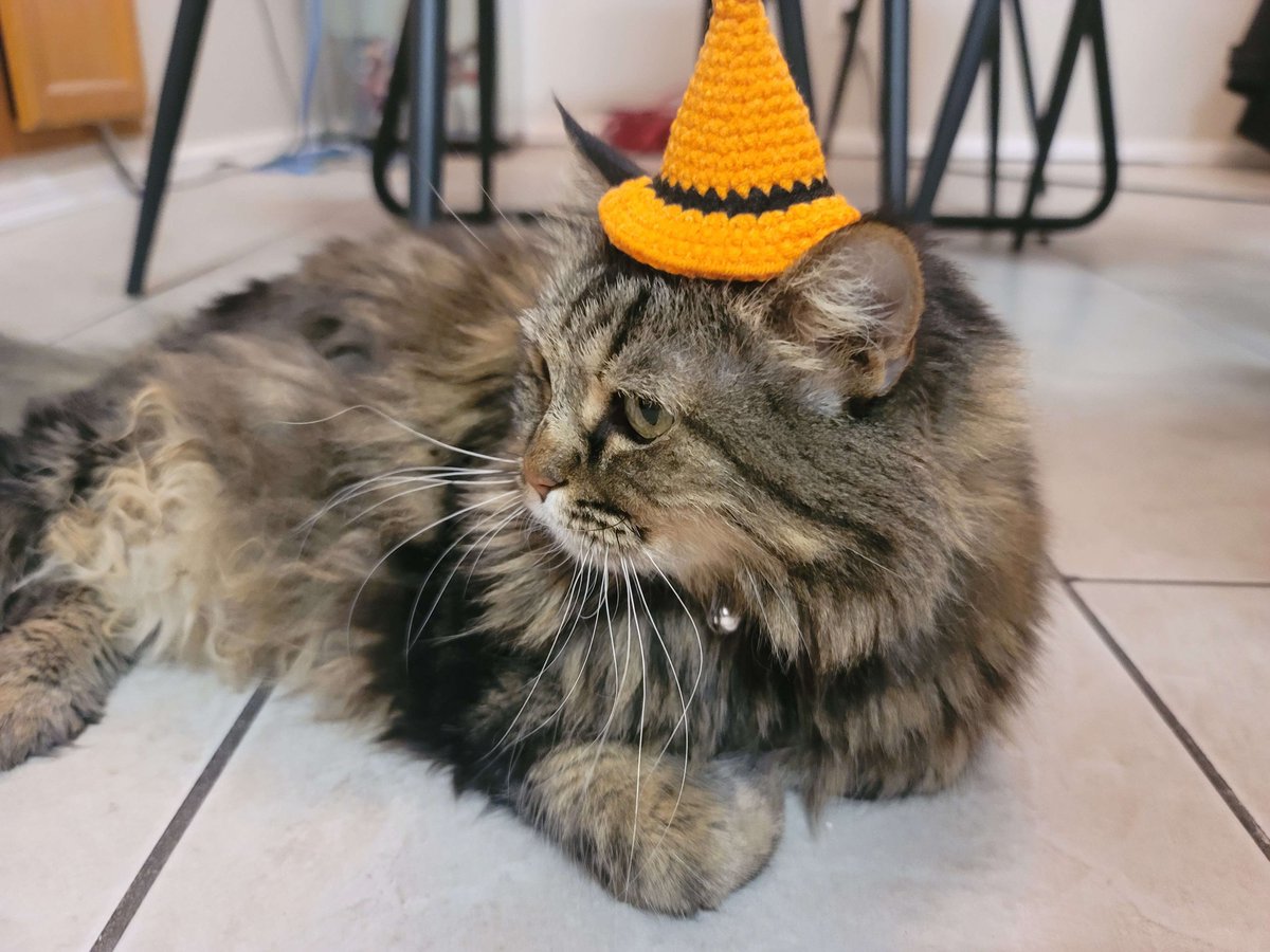 Jawless Fish Sacabambaspis tweet media