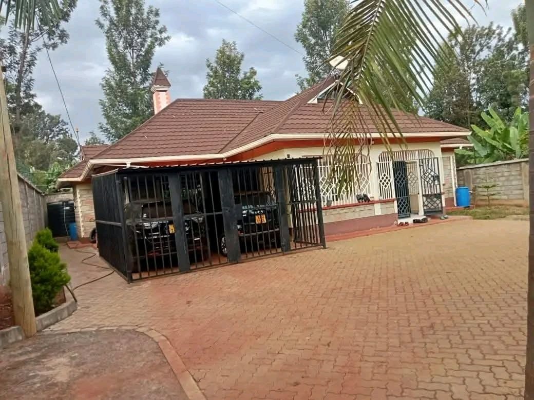 Ignatius tweet media