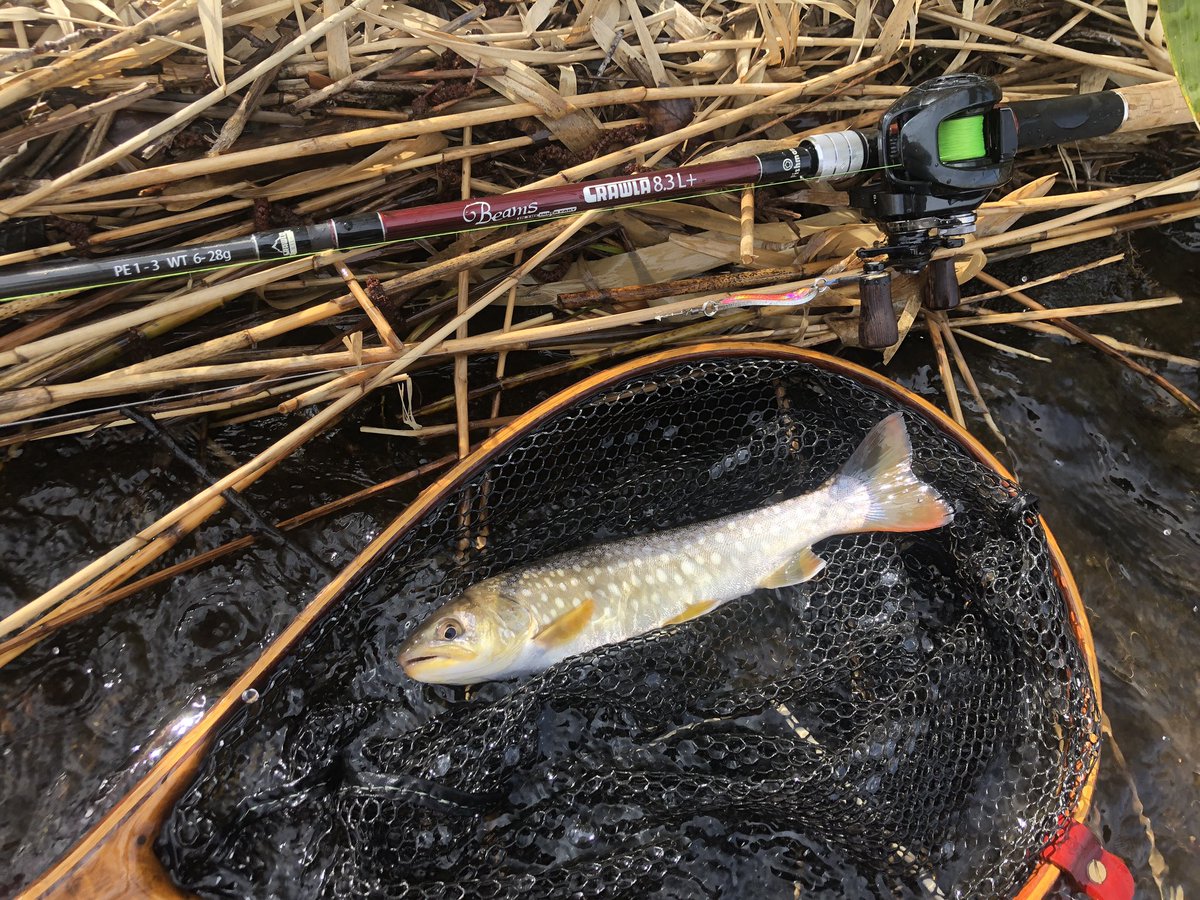 zisakukebari59's tweet image. 来週のプチ支笏湖遠征に向けて遠投タックルの慣れ釣行🎣15〜20gのルアーをロッドにしっかり乗せて遠投❗️かっ飛んで行くのメッチャ気持ち良い♪ホゲ覚悟だったけどチビアメが釣れてまさかのホゲ回避（笑）
#北海道 #釣り #Fishman #Beams #CRAWLA83Lプラス #SHIMANO #MetaniumDC #アメマス