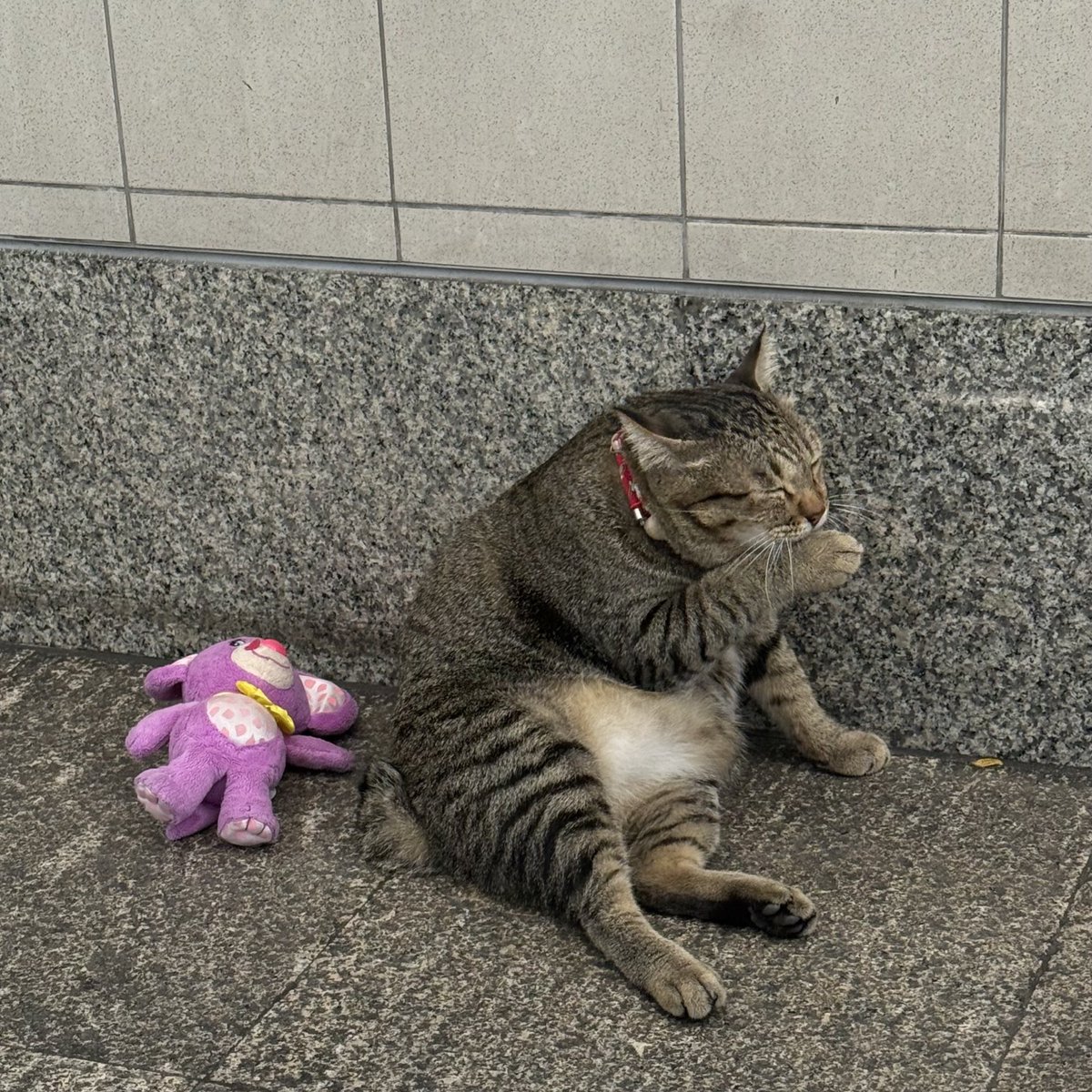 ค่ดดดจะน่ารัก ><