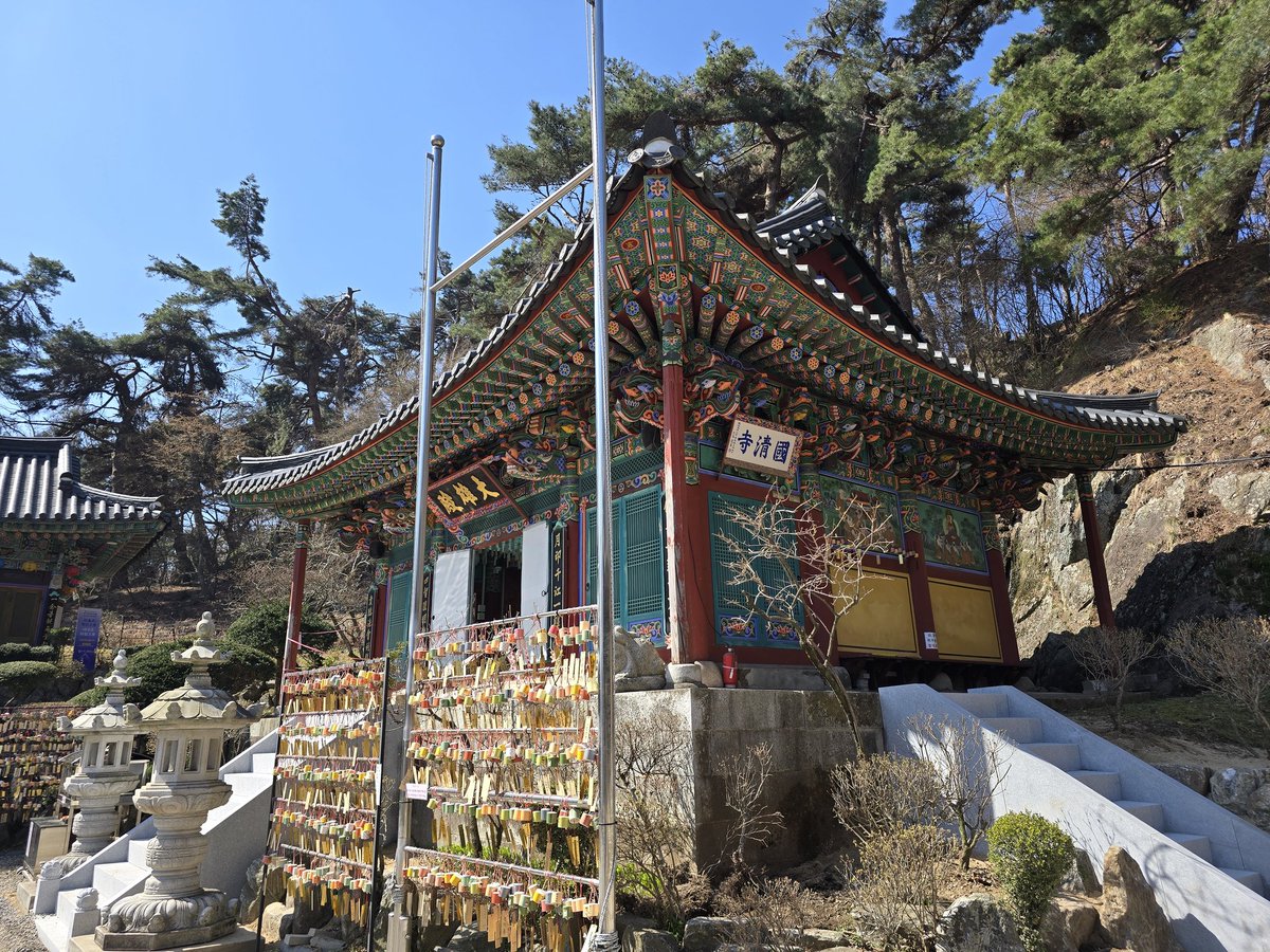 KAMEDON_M's tweet photo. ソウルの🌸を見たくて🇰🇷✈️
国清寺あたりではまだつぼみ https://t.co/fPF6SEN1no