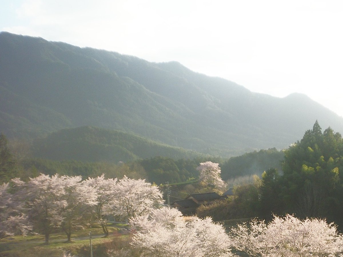 東白川村最高だった。また来年と言わず、もう行きたい。